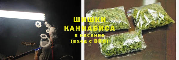 ПСИЛОЦИБИНОВЫЕ ГРИБЫ Алзамай