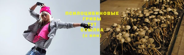 соль курить ск Новодвинск