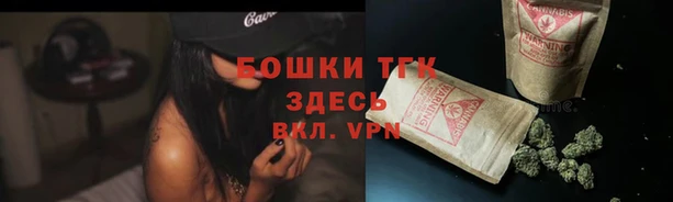 амф Новозыбков
