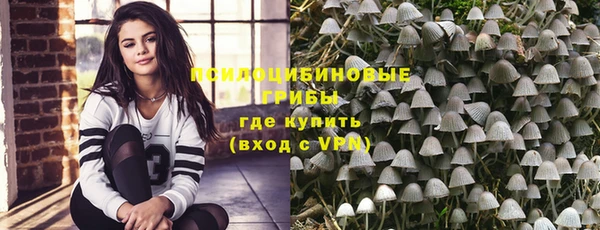 ПСИЛОЦИБИНОВЫЕ ГРИБЫ Алзамай