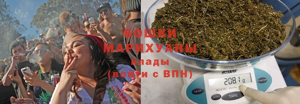 ПСИЛОЦИБИНОВЫЕ ГРИБЫ Алзамай