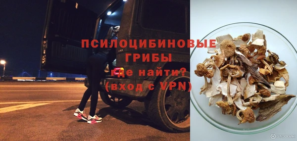 ПСИЛОЦИБИНОВЫЕ ГРИБЫ Алзамай